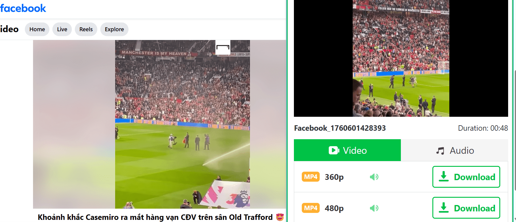 Facebook Download Demo