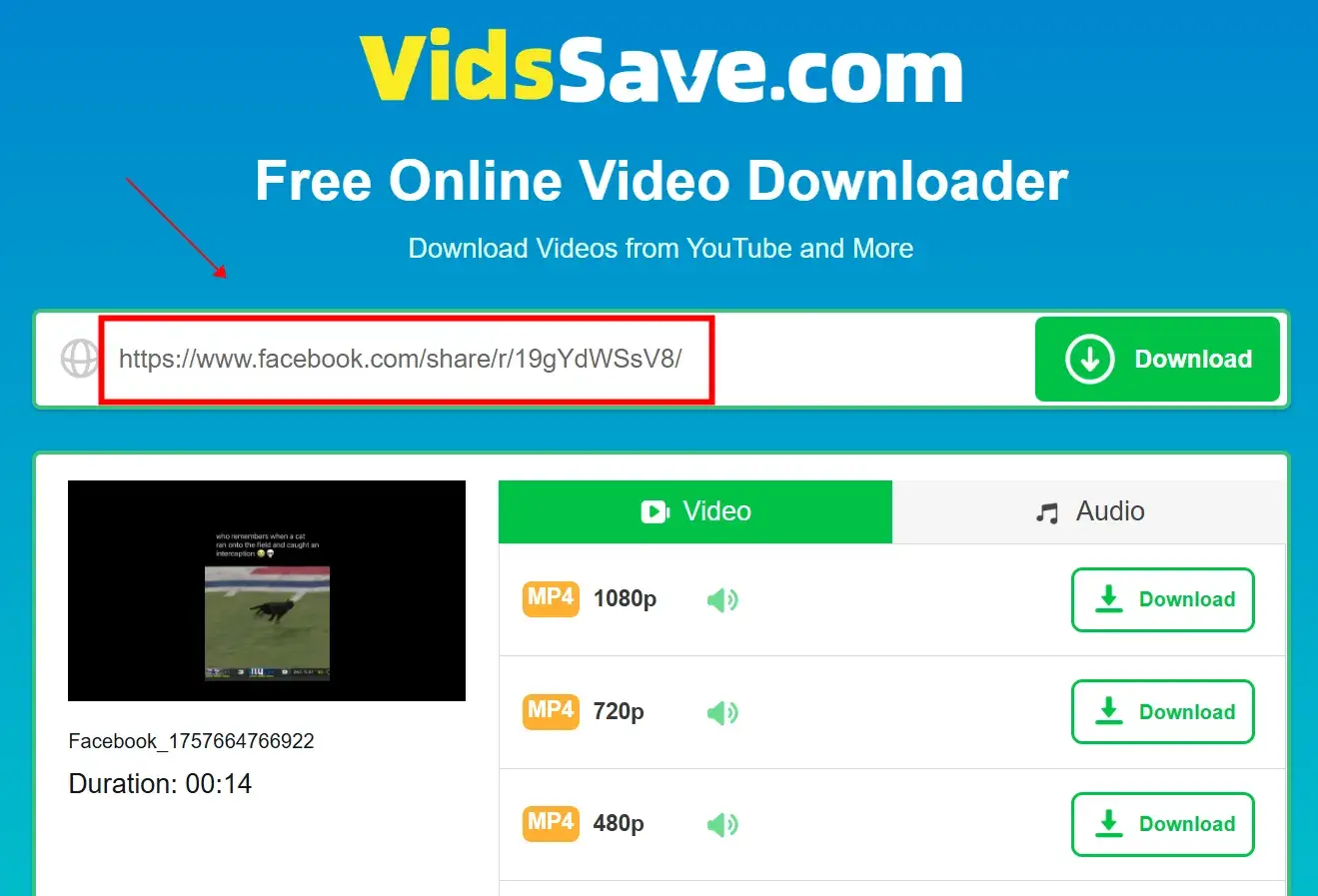 Paste the link into VidsSave.com, wait for analysis, and click Download to save it.