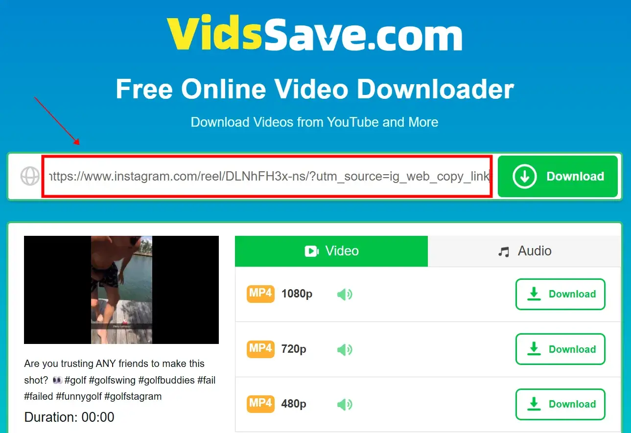 Head over to VidsSave.com, paste the link, let it analyze, and click Download.