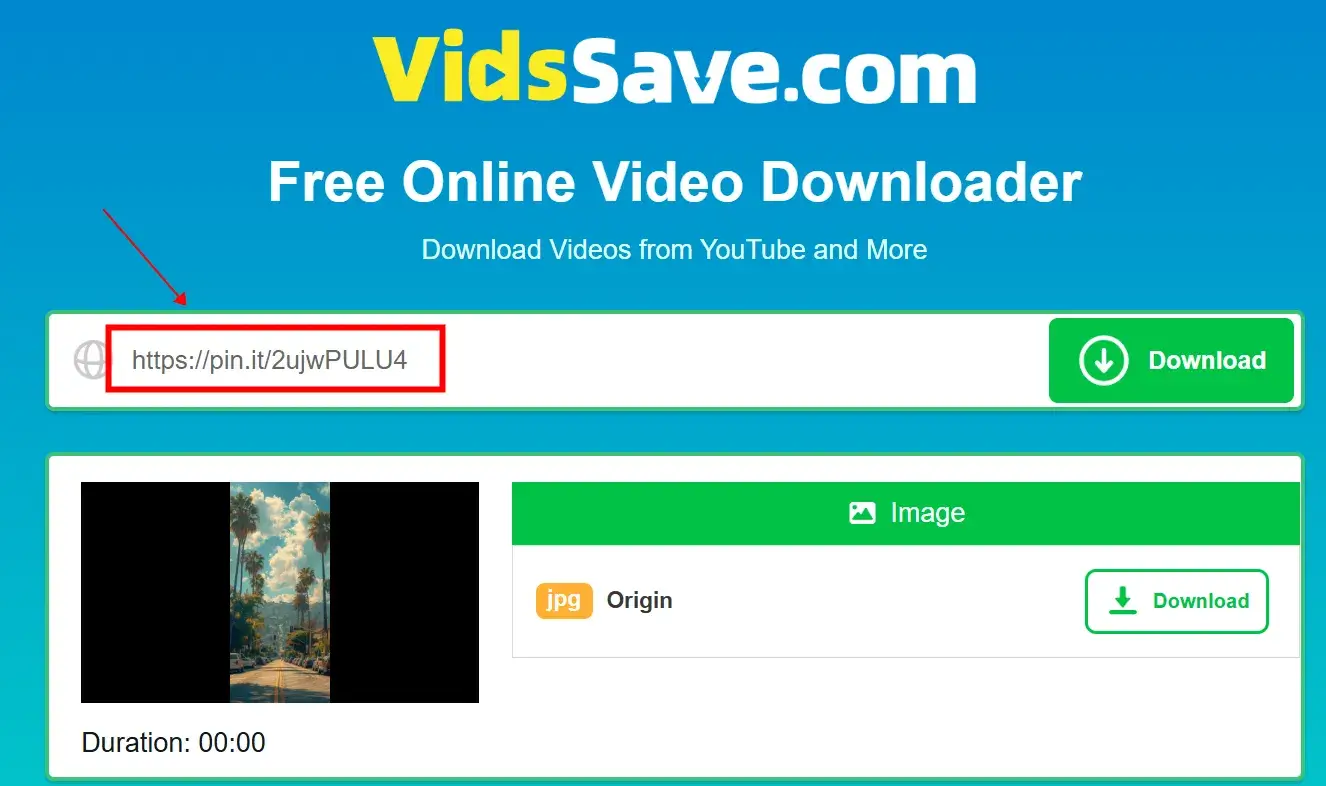 Go to VidsSave.com, paste the copied link, wait for the video to be analyzed, and hit Download.