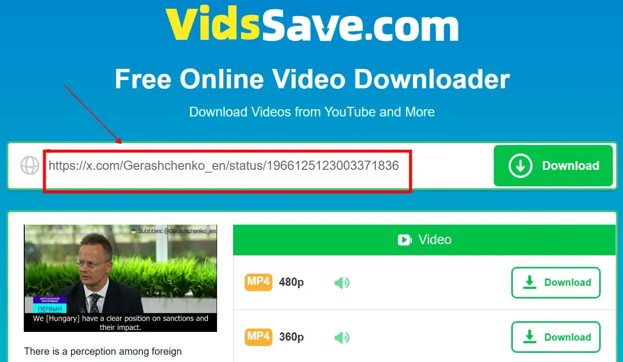 Go to VidsSave.com, paste the link, wait for the analysis, and click Download.